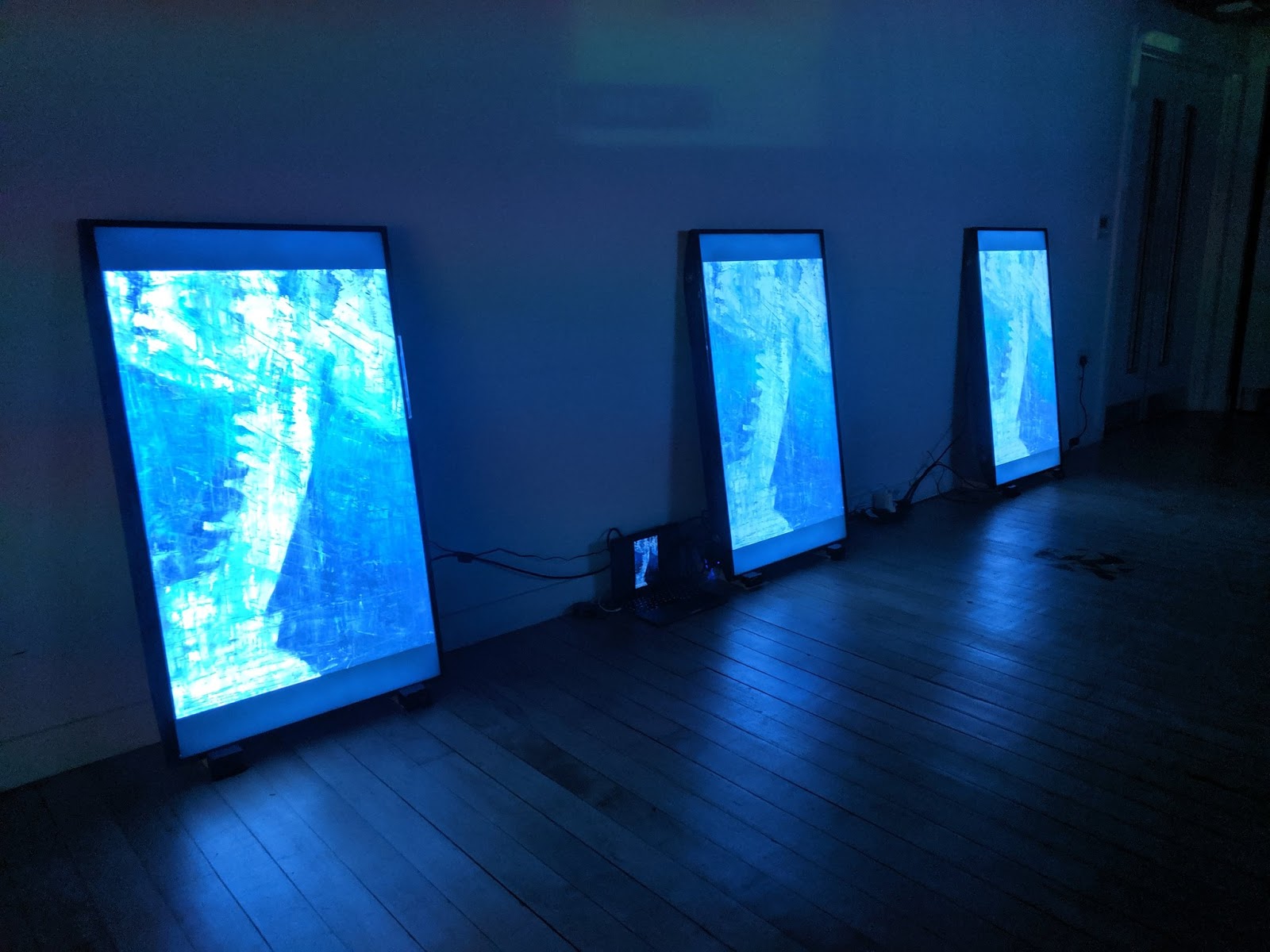 Digital projections of the series at the International Digital Arts Festival